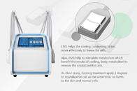 4 จับ 30Hz Cryolipolysis EMS Machine สำหรับ Body Slimming