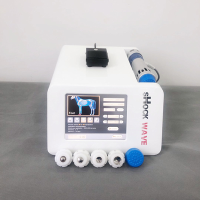 Radial Extracorporeal Equine Shockwave เครื่องกายภาพบำบัด