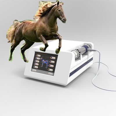 Radial Extracorporeal Equine Shockwave เครื่องกายภาพบำบัด