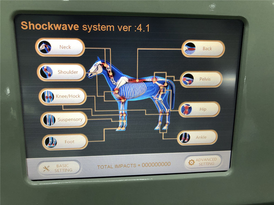 Radial Extracorporeal Equine Shockwave เครื่องกายภาพบำบัด