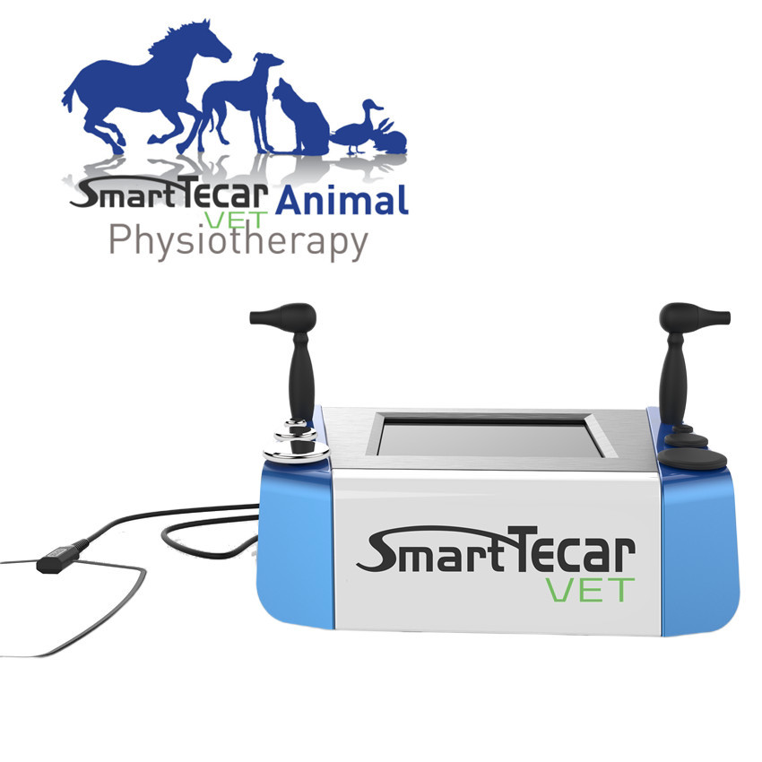 แบบพกพา Veterinary Physiotherapy Tecar Therapy Machine สำหรับสัตว์เลี้ยง Horse Dogs Cats Pain Relief